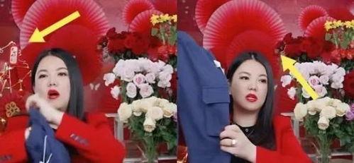 爆料李湘房东视频在线观看,视频曝光背后的豪宅生活